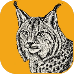 LightCraft icon